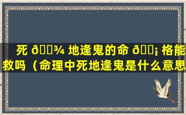 死 🌾 地逢鬼的命 🐡 格能补救吗（命理中死地逢鬼是什么意思）